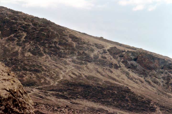 Trail to Barafu Camp