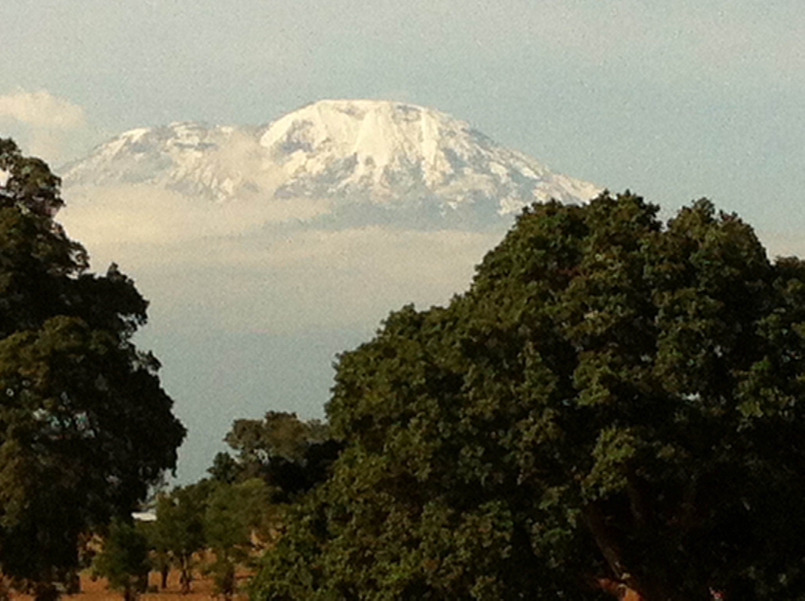 View of Mt Kilimanjaro