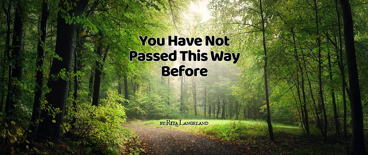 You Have Not Passed This Way Before