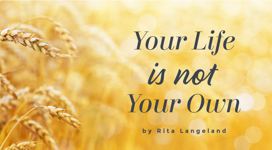 Your Life